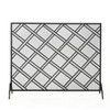 Elegant Design Fire Screen Protective Barrier Iron - Black