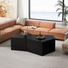 Irregular Pentagon Nesting Coffee Table Set