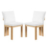 Indoor Dining Chair (Set of 2)