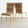 Modern Dining Chair For Dining Room
