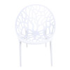 Dining Chair, Transparent Shell Design For Home (Set of 4) - White