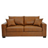 2 Seater Sofa, 2 Throw Pillows For Living Room