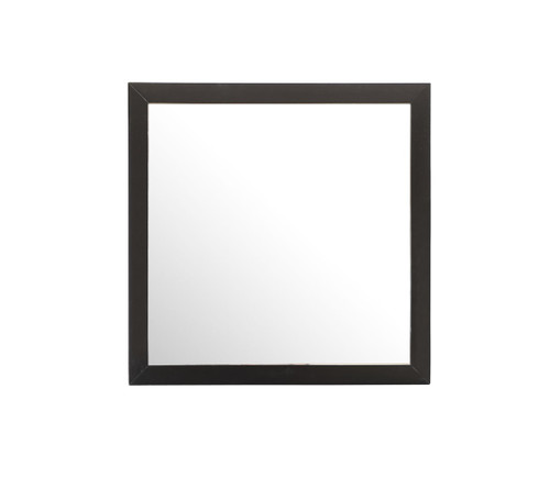 Modern Design Transitional Wall Mirror - Black