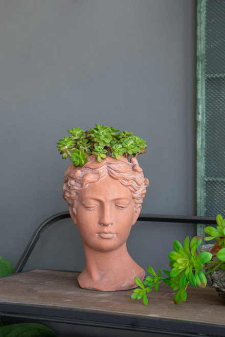 D7X11" Visage Head Bust Planter - Brown D7X11" Visage Head Bust Planter - Brown