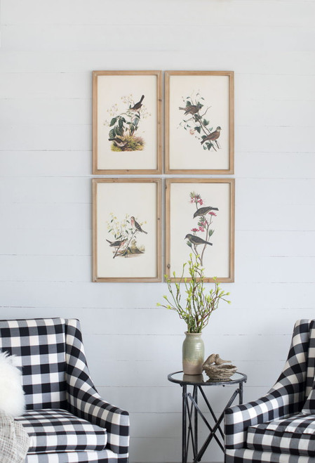 Bird Framed Print (Set of 4) - Multicolor Bird Framed Print (Set of 4) - Multicolor