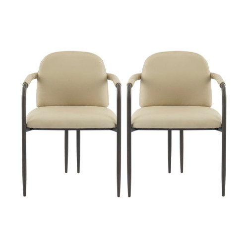 Modern Dining Chair (Set of 2) With Iron Frame - Espresso / Khaki