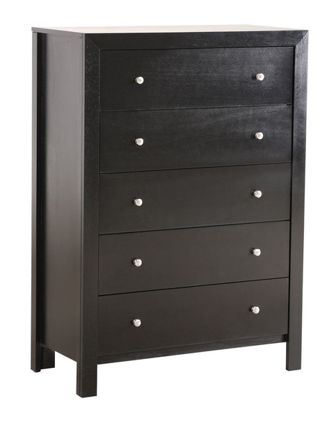 Modern Elegant Transitional Storage Chest - Black