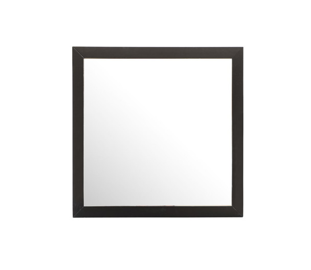 Modern Design Transitional Wall Mirror - Black