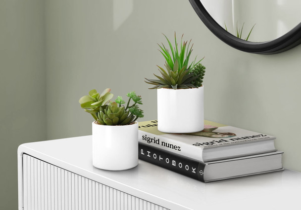Artificial Succulent Plants (Set of 2)