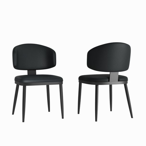 Modern Dining Chairs For Kitchen (Set of 2)