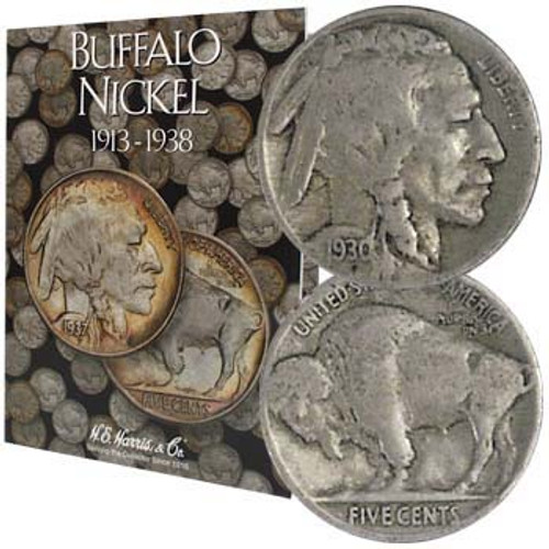 American Coin Treasures First Last Buffalo Nickels 1913-1938