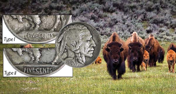 Did You Know there are Two Types of Buffalo Nickel?