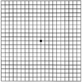 Amsler Grid = Macular Degeneration Self-Test