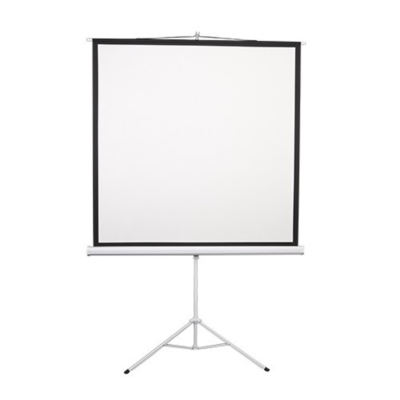 PROJECTOR SCREEN SBOX PSMT-135 / 240x240cm - Tripod