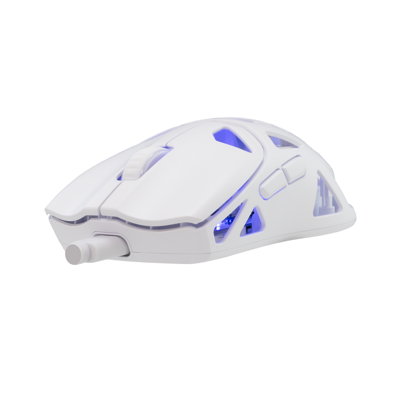 White Shark MOUSE WGM-5019 DAGONET White / 24.000 dpi / Wireless