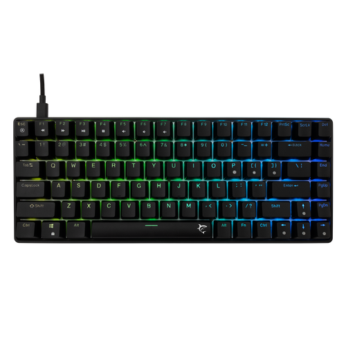 White Shark Keyboard GK-005121 HAMACHI-B-US Mechanical RGB / US - BLUE SW