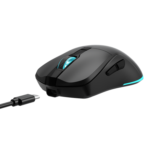 Baracuda MOUSE BGM-121 TURTLE BLACK / 3200 dpi / Wireless