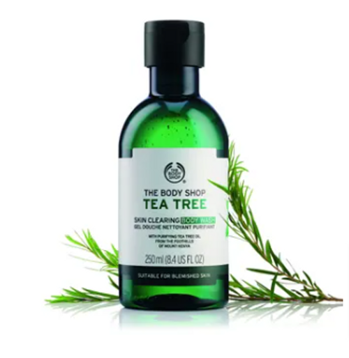 Body Shop Tea Tree Skin Clearing Body Wash