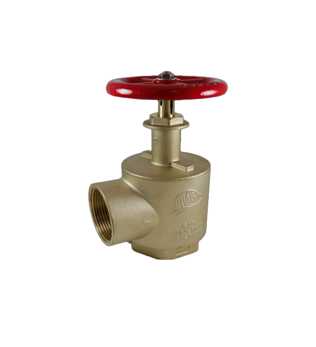 Fnpt Inlet Wilson & Cousins IE23E-FF 2 1/2