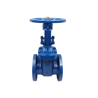 Red-White Valve 421 2 1/2" Cast Iron OS&Y Gate Valve