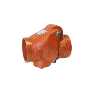 Gruvlok 2200750038 2" 7811 EPDM Check Valve