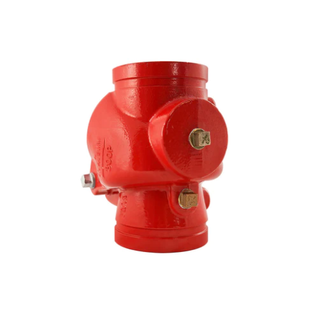 Aleum 5" Grooved Swing Check Valve