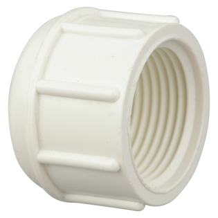 Charlotte Pipe 448-005 1/2" PVC Sch. 40, Cap (FPT)