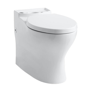 KOHLER Persuade Elongated Toilet Bowl Only in White