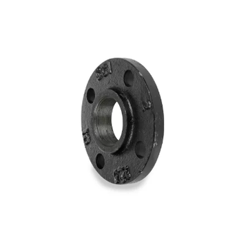 SCI 4330001020 1" Ductile Iron Black Threaded FF Companion Flange Class 125