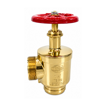 Wilson & Cousins IE23E-FF 2 1/2" Standard Angle Hose Valve - FNPT Inlet x FNPT Outlet, Polished Brass