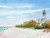 Sanibel Lighthouse Beach - Note card