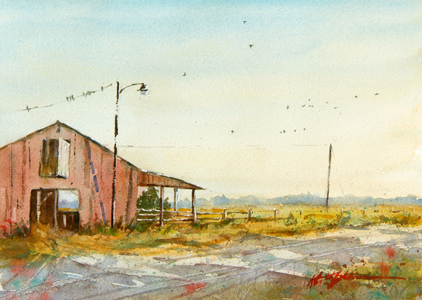 Barn Flock