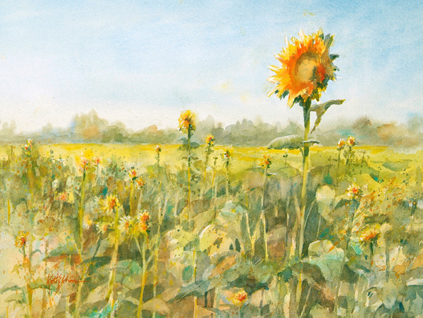 Original watercolor painting of a field of sunflowers.