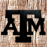 Metal Cut Out Of The Initial T- A -M -  Front View