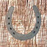  Western Cast Iron Horseshoe - Rear View