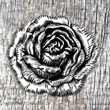 Wild Rose Antique Silver 1-1/2 Inch Concho