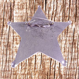Lincoln County Sheriff Old Western Badge - Rear View