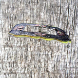 Floral Rope Edge Tri-Color Headstall Buckles - side view.