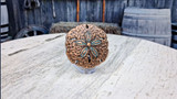 Sand Dollar Patina Copper Cabinet Knob - front view.