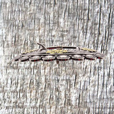 Gonzales 3/4 Inch 2-Tone Buckle - side view.