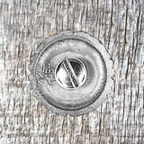 Floral Top 1 Inch Antique Copper Plated Concho - rear view with Concho screw inserted.