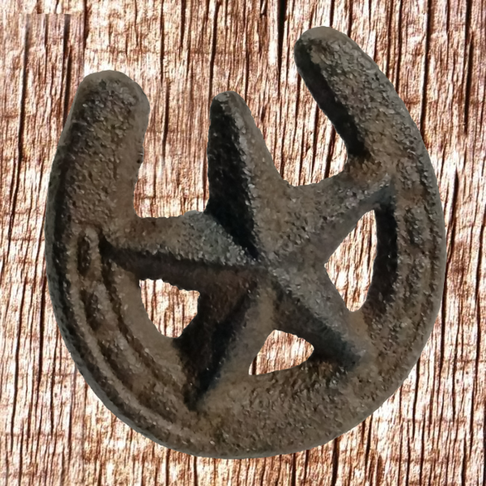 Western Cast Iron Horseshoe