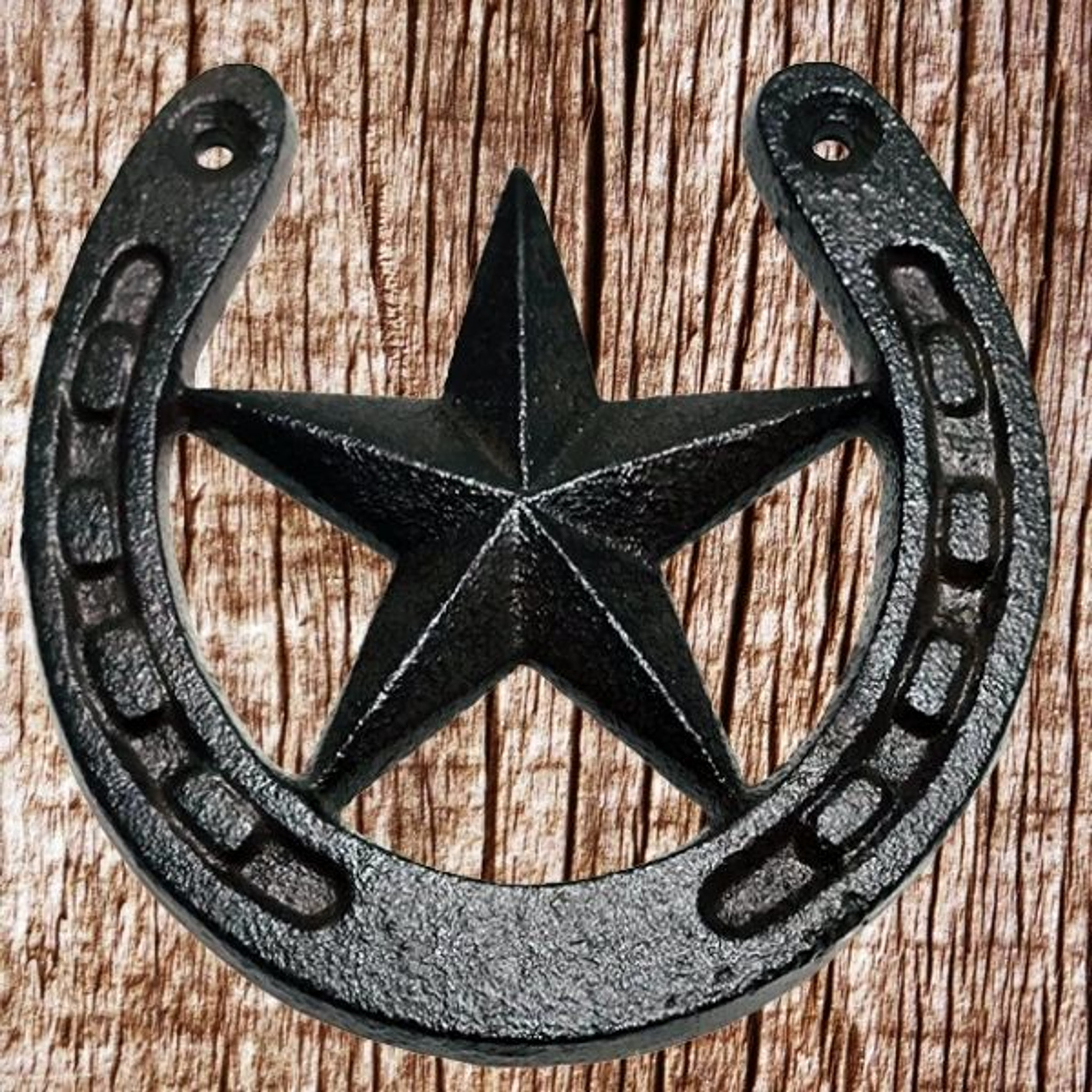 horseshoe art decor