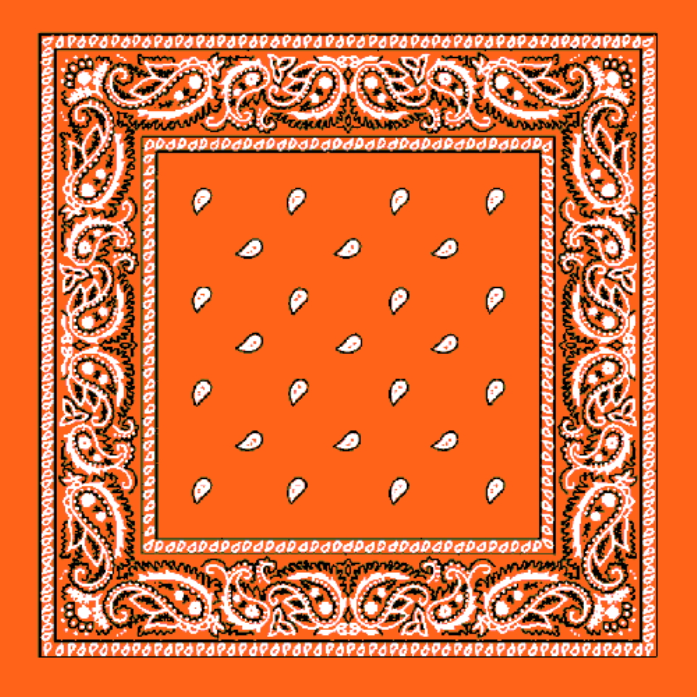 『TEN PAISLEY S/S ORANGE S』 Orange Paisley Bandana - Texas Uniques Store