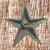 3-1/4 Inch Cast Iron Star With Nail - Rear View.
