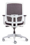 Luminous Mesh Back Executive Office Chair