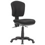 Aqua Fully Ergonomic Office Chair - Low Back