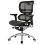 Ergo1 Office Chair
