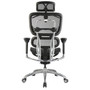 Ergo1 Office Chair