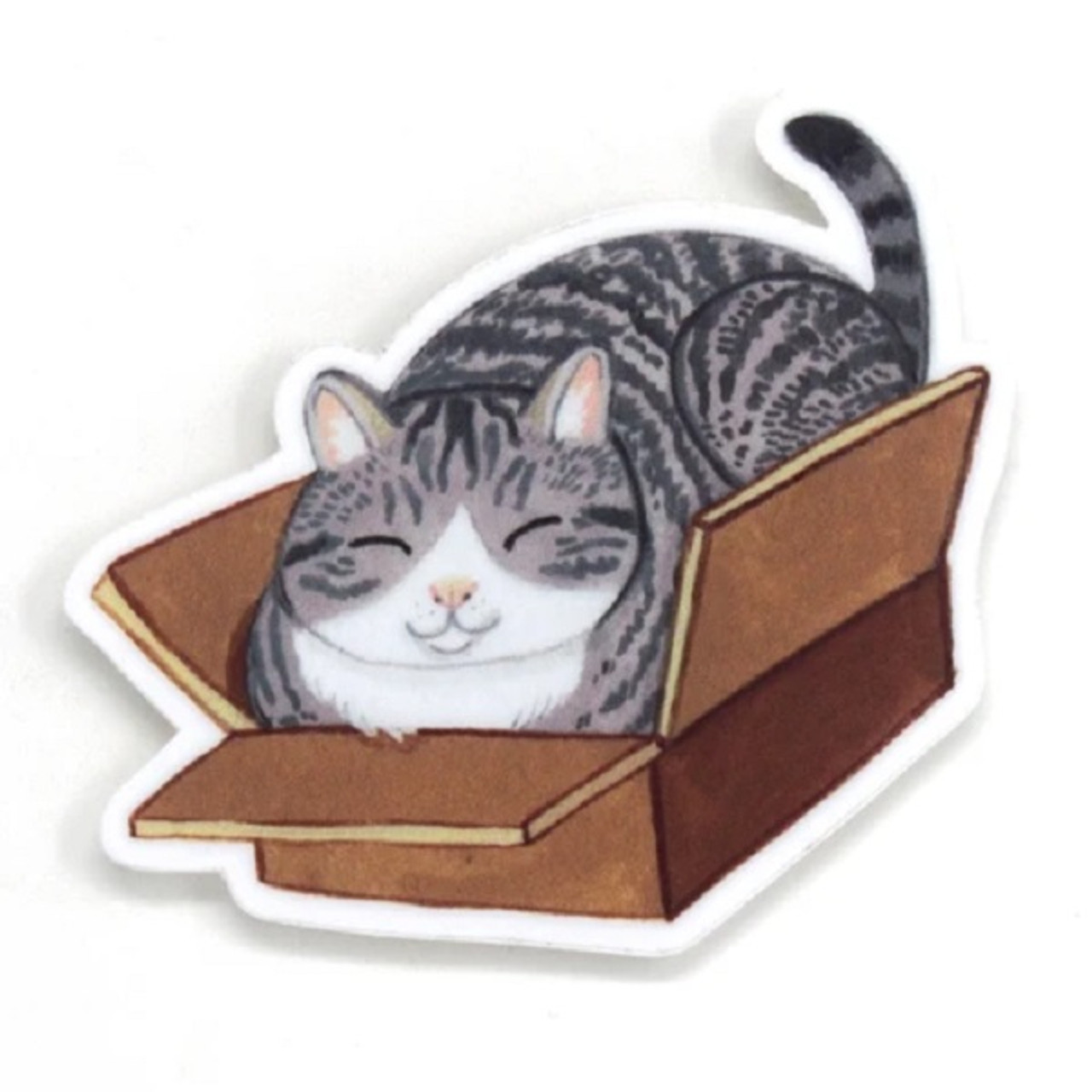 Long Haired Brown Tabby Cat Sticker Decal Brown Cat Water 